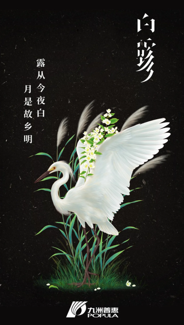 白露 白露